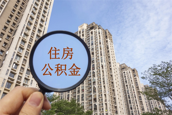 泰安离职后离职公积金如何取（离职后公积金提取步骤）